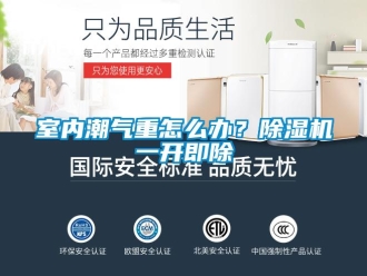 常見問題室內潮氣重怎么辦？除濕機一開即除