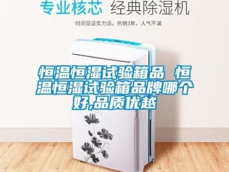 知識百科恒溫恒濕試驗箱品 恒溫恒濕試驗箱品牌哪個好,品質優越