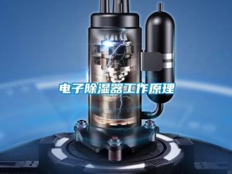 行業新聞電子除濕器工作原理