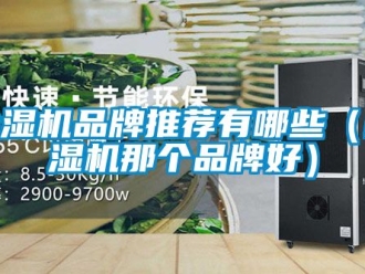 企業新聞除濕機品牌推薦有哪些（除濕機那個品牌好）