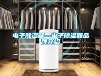 行業新聞電子除濕器—電子除濕器品牌介紹