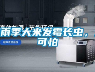 行業新聞梅雨季大米發霉長蟲，太可怕