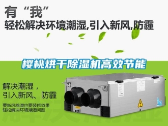 知識百科櫻桃烘干除濕機高效節能