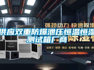 知識百科供應雙重防爆泄壓恒溫恒濕測試箱廠商