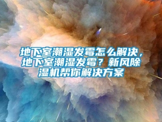 常見問題地下室潮濕發霉怎么解決，地下室潮濕發霉？新風除濕機幫你解決方案