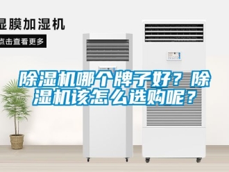 行業新聞除濕機哪個牌子好？除濕機該怎么選購呢？