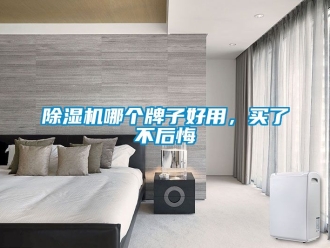 行業新聞除濕機哪個牌子好用，買了不后悔