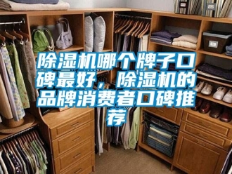 企業新聞除濕機哪個牌子口碑最好，除濕機的品牌消費者口碑推薦