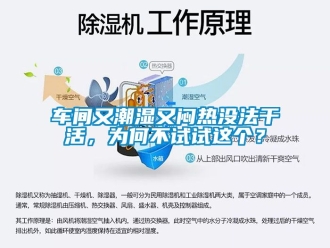 企業新聞車間又潮濕又悶熱沒法干活，為何不試試這個？