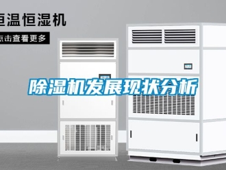 行業新聞除濕機發展現狀分析