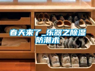 企業新聞春天來了_樂器之除濕防潮術