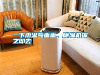知識百科一下雨濕氣重重，除濕機揮之即去