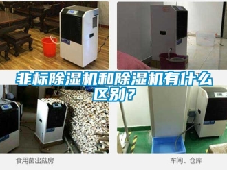 行業新聞非標除濕機和除濕機有什么區別？