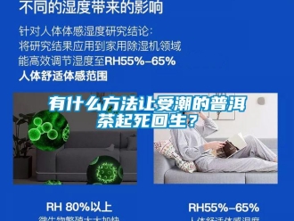知識百科有什么方法讓受潮的普洱茶起死回生？