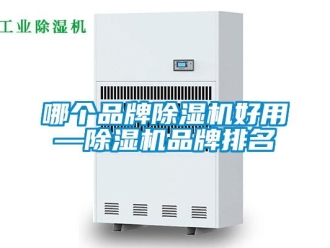 企業新聞哪個品牌除濕機好用—除濕機品牌排名