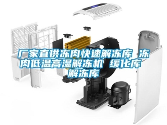 常見問題廠家直供凍肉快速解凍庫 凍肉低溫高濕解凍機 緩化庫 解凍庫