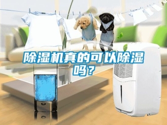 行業新聞除濕機真的可以除濕嗎？
