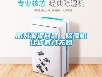 常見問題面對潮濕問題，除濕機讓你有恃無恐