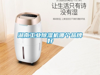 常見問題湖南工業除濕機哪個品牌好