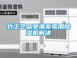 知識百科竹工藝品受潮發霉用除濕機解決