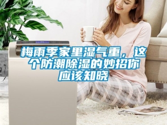 常見問題梅雨季家里濕氣重，這個防潮除濕的妙招你應該知曉