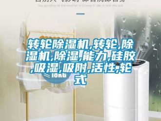 常見問題轉輪除濕機,轉輪,除濕機,除濕,能力,硅膠,吸濕,吸附,活性,輪式