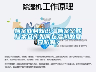 企業新聞檔案業務知識：檔案室或檔案倉庫如何在濕潤的夏日防潮？