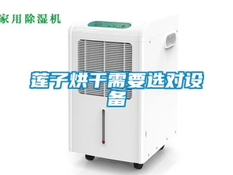 行業新聞蓮子烘干需要選對設備