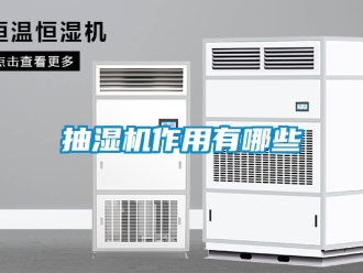 企業新聞抽濕機作用有哪些