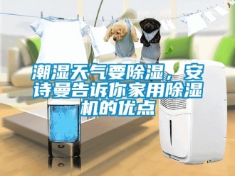 企業新聞潮濕天氣要除濕，安詩曼告訴你家用除濕機的優點