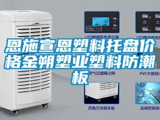 常見問題恩施宣恩塑料托盤價格金朔塑業塑料防潮板
