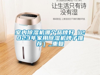 企業新聞室內除濕機哪個品牌好（2023年家用除濕機牌子推薦）_重復