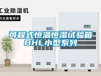 知識百科可程式恒溫恒濕試驗箱BHL小型系列