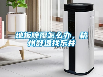常見問題地板除濕怎么辦，杭州舒逸找東井