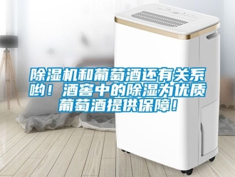 行業新聞除濕機和葡萄酒還有關系喲！酒窖中的除濕為優質葡萄酒提供保障！
