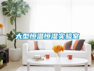 知識百科大型恒溫恒濕實驗室