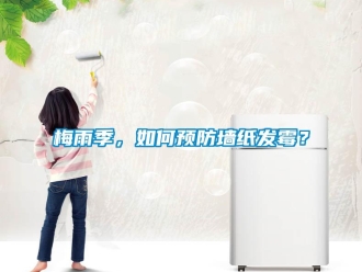 常見問題梅雨季，如何預防墻紙發霉？