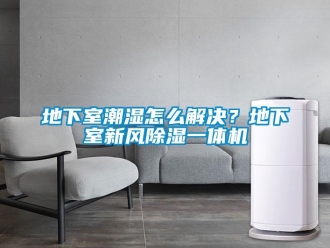 常見問題地下室潮濕怎么解決？地下室新風除濕一體機