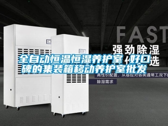 知識百科全自動恒溫恒濕養護室 好口碑的集裝箱移動養護室批發