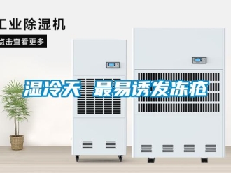 知識百科濕冷天 最易誘發凍瘡