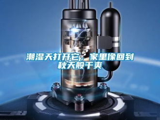 企業新聞潮濕天打開它，家里像回到秋天般干爽