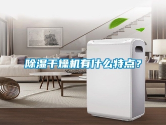 企業新聞除濕干燥機有什么特點？