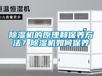 企業新聞除濕機的原理和保養方法？除濕機如何保養