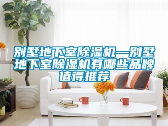 企業新聞別墅地下室除濕機—別墅地下室除濕機有哪些品牌值得推薦