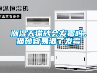 常見問題潮濕天貓砂會發霉嗎，貓砂容易濕了發霉