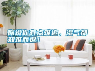 行業新聞你說你有點難追，濕氣都知難而退！