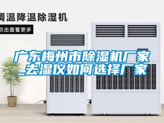 企業新聞廣東梅州市除濕機廠家_去濕儀如何選擇廠家