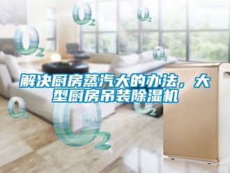 行業新聞解決廚房蒸汽大的辦法，大型廚房吊裝除濕機