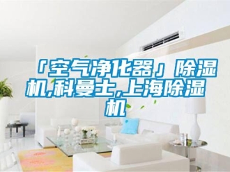 企業新聞「空氣凈化器」除濕機,科曼士,上海除濕機