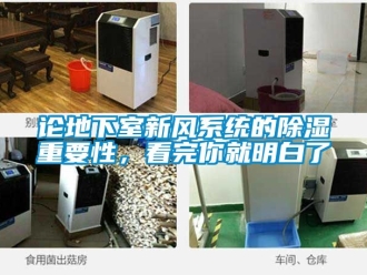 行業新聞論地下室新風系統的除濕重要性，看完你就明白了